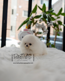 Yuki