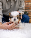 (SOLD)ToTo