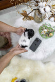 (sold) Oreo