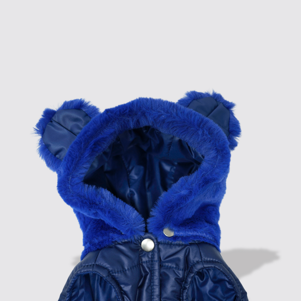 Teddy Bear hooded Jacket