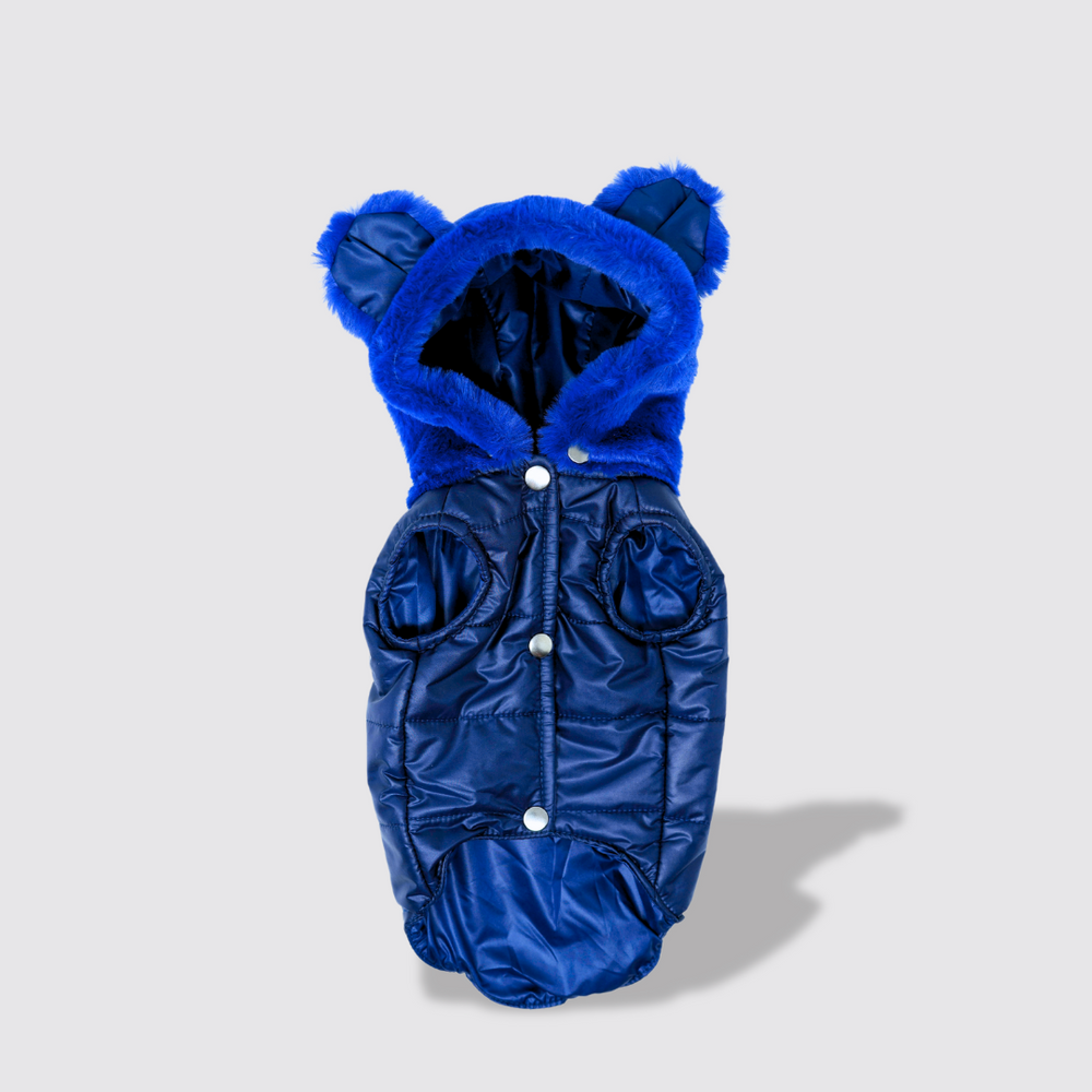 Teddy Bear hooded Jacket