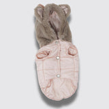 Teddy Chic Dog jacket