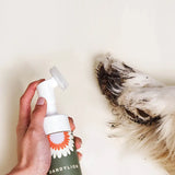 Clean Paws No-Rinse Foaming Cleanser