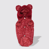 Teddy Bear hooded Jacket