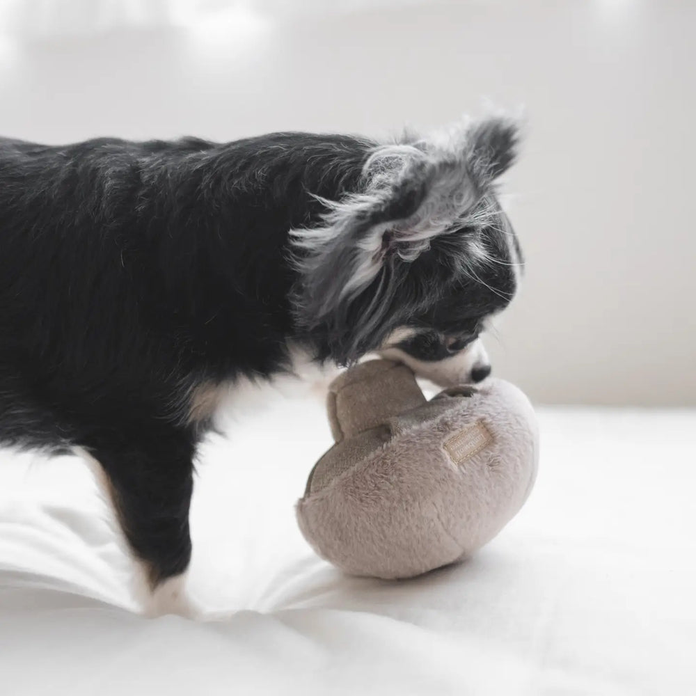 Guu nosework enrichment toy