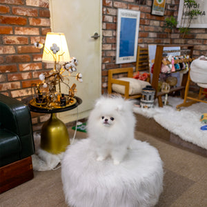 Chubby