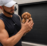 Simba