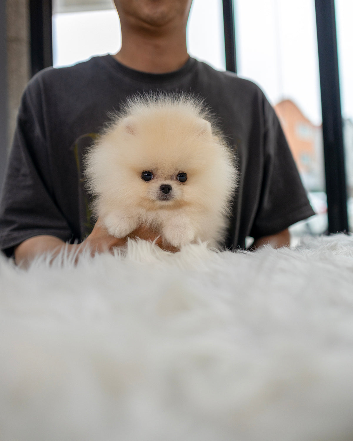 Chip