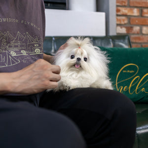 Kibbles