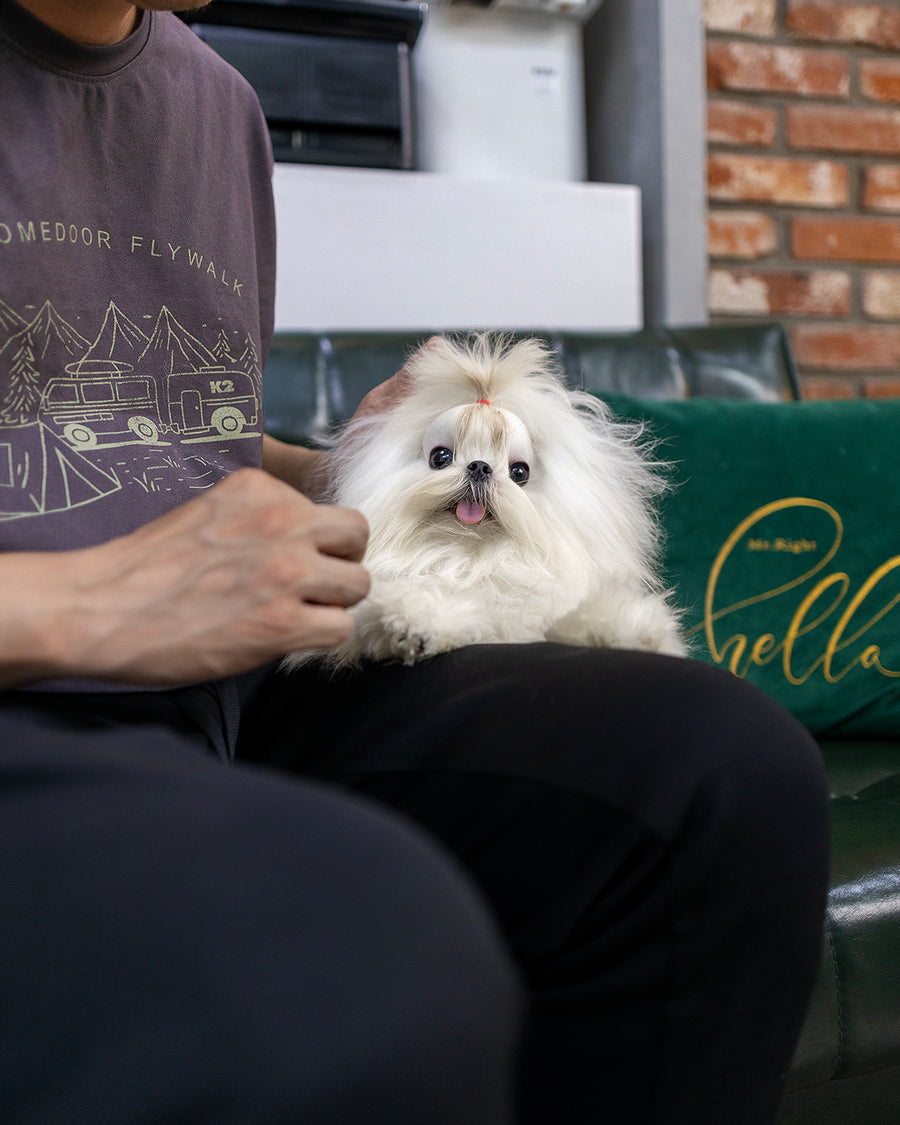 Kibbles