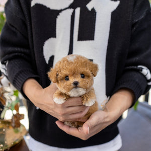 (sold)Waffles