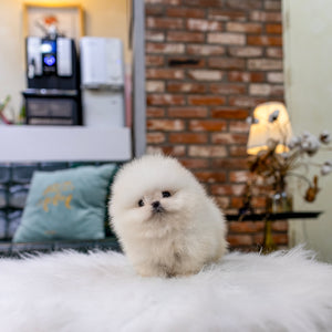 Nilla