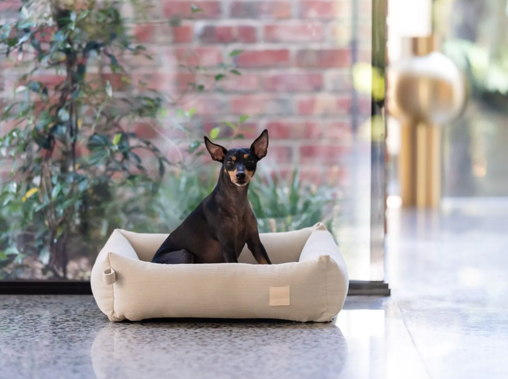 Corduroy Bed - Sandstone